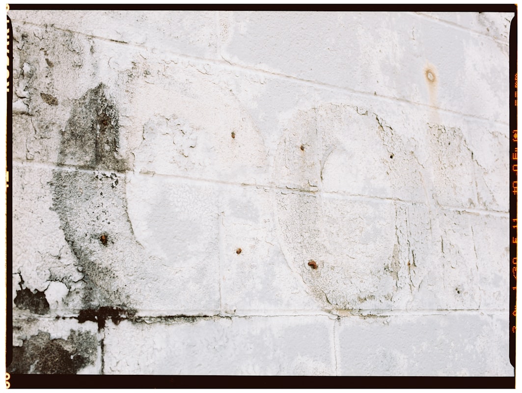 Mold Remediation service in Tuckahoe, VA