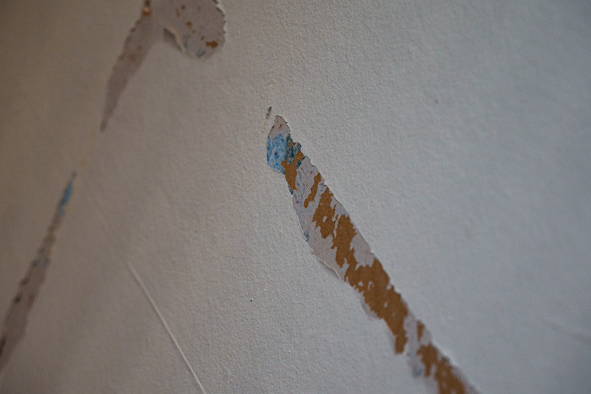 Sewage Cleanup service in Tuckahoe, VA