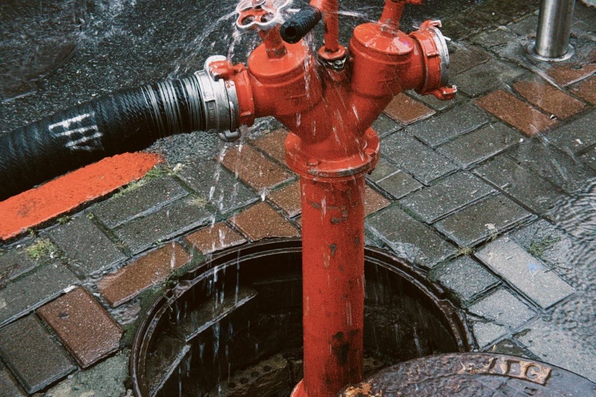 Flood Cleanup service in Tuckahoe, VA